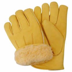 Driving Gloves (Lined )